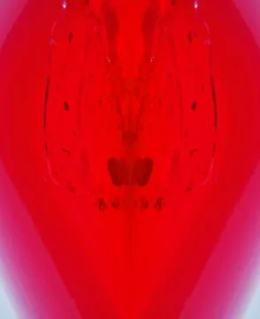 Texture of red jelly Stock Photos