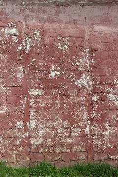 Texture red painted wall with grass Stock Photos