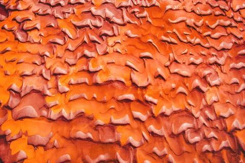 Texture of red sand beach Stock Photos