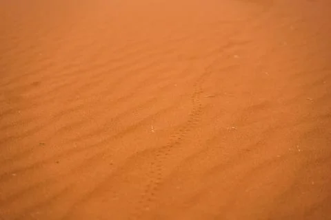 Texture of red sand with structures and lines of small stones Stock Photos