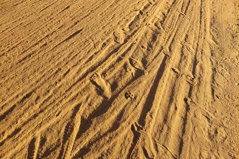 Texture of Red Soil with Vehicle Tracks Stock Photos