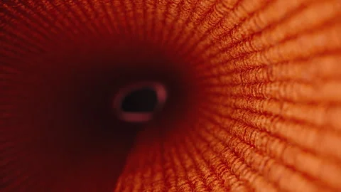The texture of a red towel, the camera inside a tube, focusing on the macro leve Stock Footage 247956811