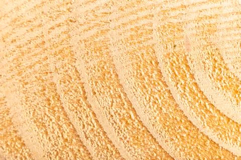 Texture of ring in pine wood, close up Stock Photos