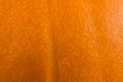 Texture of ripe orange pumpkin. Macro. Stock-Fotos