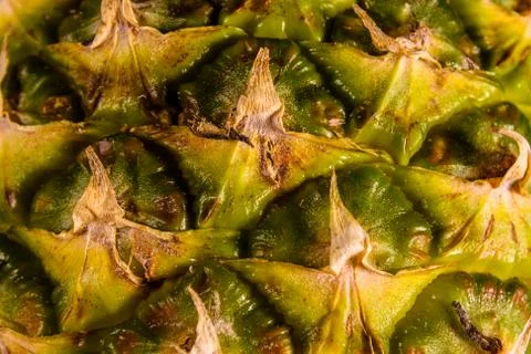 Texture of the ripe pineapple for background Stock Photos