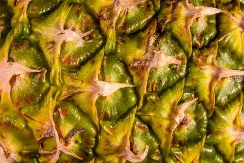 Texture of the ripe pineapple for background Stock Photos
