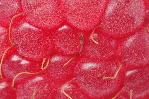 Texture of ripe raspberry as background, macro view. Fresh berry Foto stock