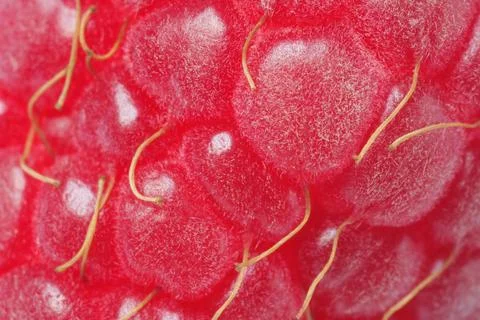 Texture of ripe raspberry as background, macro view. Fresh berry Stock Photos