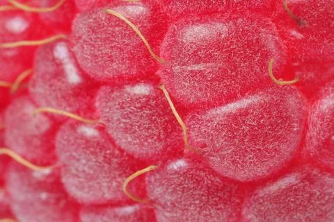 Texture of ripe raspberry as background, macro view. Fresh berry Stock Photos