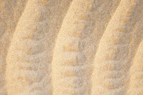 Texture of rippled sand Stock Photos