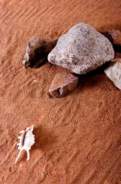 The texture of the river bank Stock Photos