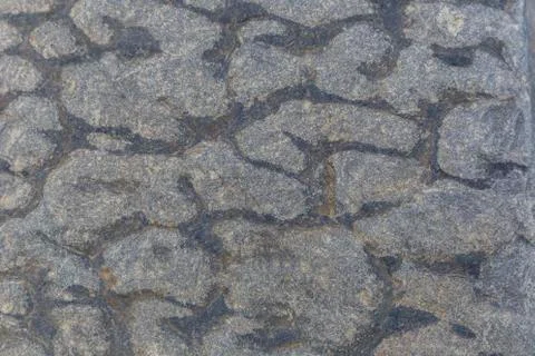 The texture of a river boulder Stock Photos