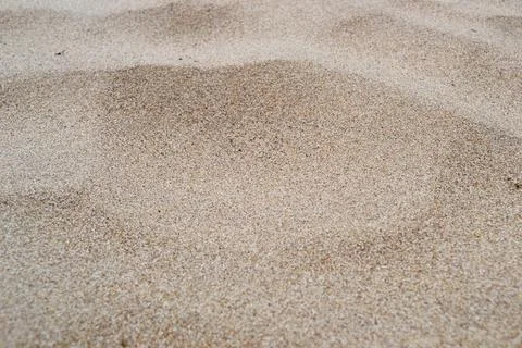 Texture of river sand in close-up. Background of sand. Stock Photos