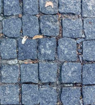 The texture of the road paved with squared stones closeup Stock Photos