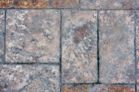 The texture of the road pavement gray closeup. Stock Photos
