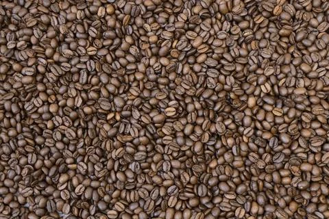 Texture of roasted coffee beans. Coffee beans. Stock Photos