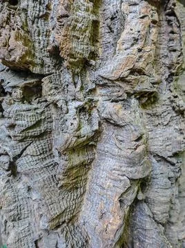 Texture of rock for background Stock Photos