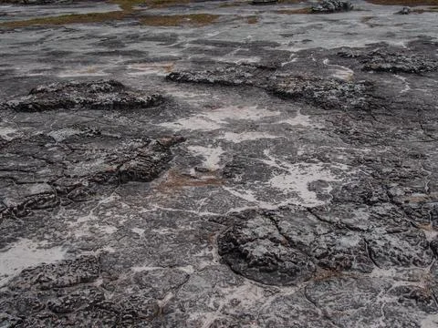 Texture of rock background Stock Photos