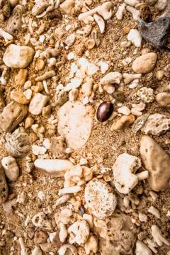The texture of the rock on the beach is whitish Stock Photos