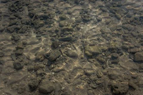 Texture rock bottom through the clear water of the sea Stock Photos
