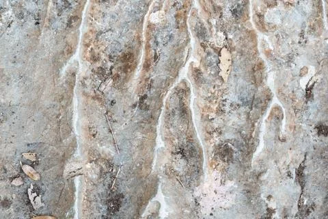 Texture of a rock with lines Stock Photos