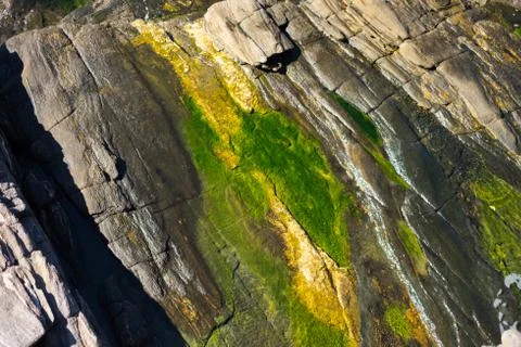 Texture on rock patterns background, Buzios, Brazil Stock Photos