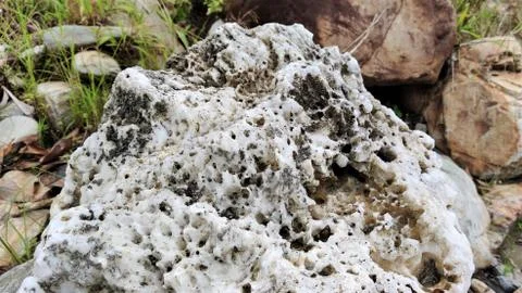 Texture of rock Stock Photos