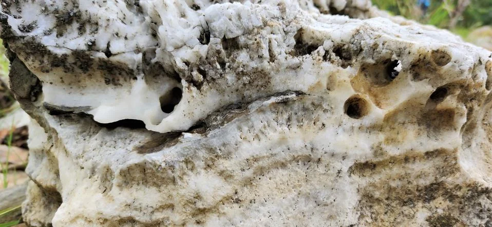Texture of rock Stock Photos