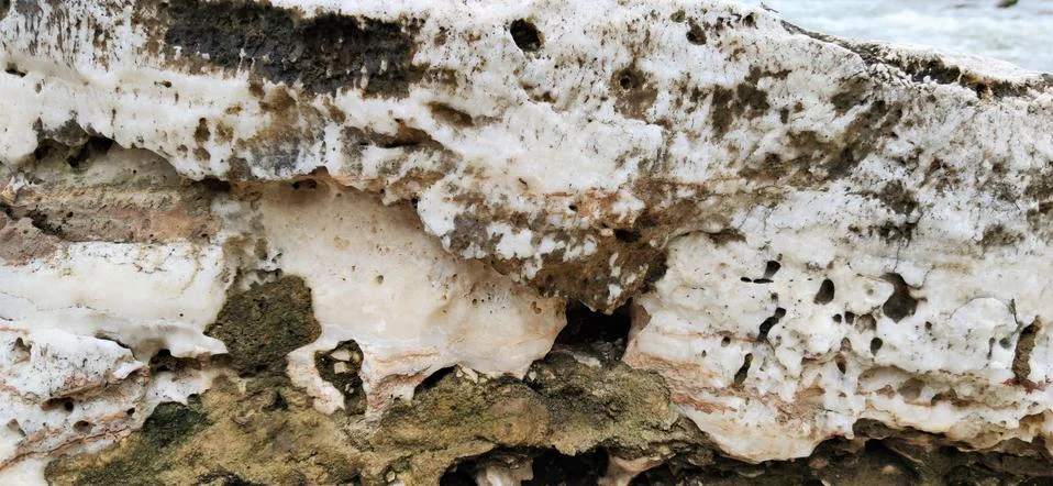 Texture of rock Stock Photos