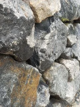 Texture on the rock Stock Photos