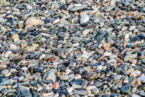 Texture of rock, stone on a a beach. Stock Photos