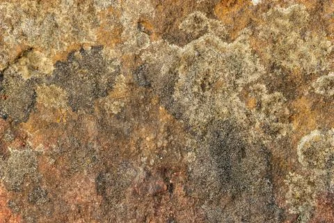 Texture of the rock. Stone texture background. Closeup and copy space. The pa Stock Photos