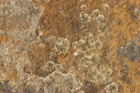 Texture of the rock. Stone texture background. Stock Photos