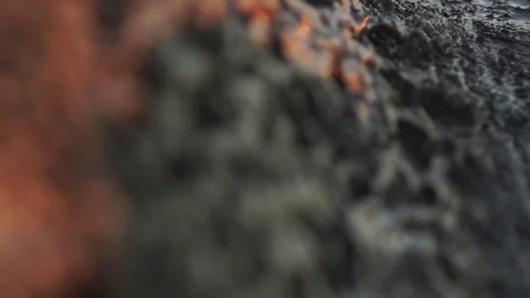 Texture of rock surface Stock Footage 77805110