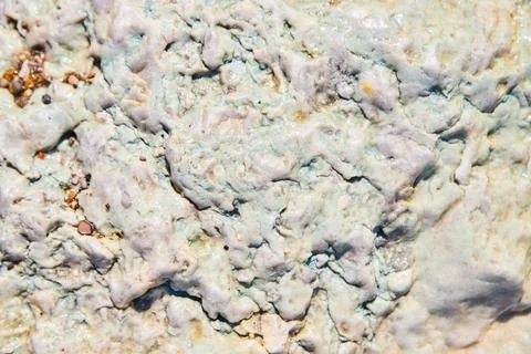 Texture of rock surface smooth Stock Photos