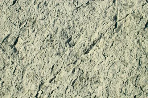 The texture of rocks sedimentary rocks Foto stock