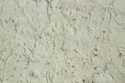 The texture of rocks sedimentary rocks Foto stock