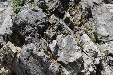 The texture of the rocky ground Stock Photos