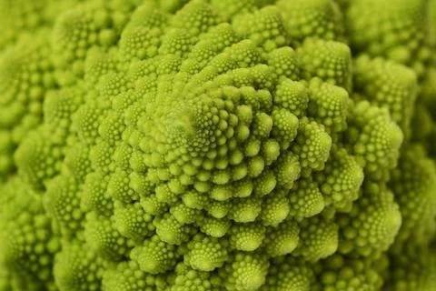 Texture of Roman cauliflower Stock Photos