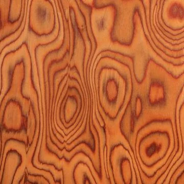 Texture of root oak, wood texture 스톡 사진
