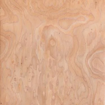 Texture of root, wood texture beautiful Foto stock