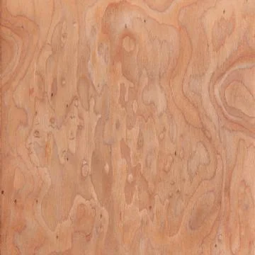 Texture of root, wood texture beautiful Stock Photos