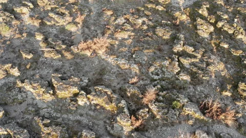 Texture of rough barren terrain - desolate rocky landscape.  Aerial top down Stock Footage 232972763