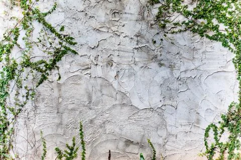 Texture rough of cement wall Foto stock