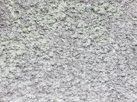 Texture of rough gray stucco wall. Decorative plaster on wall. Stock Photos