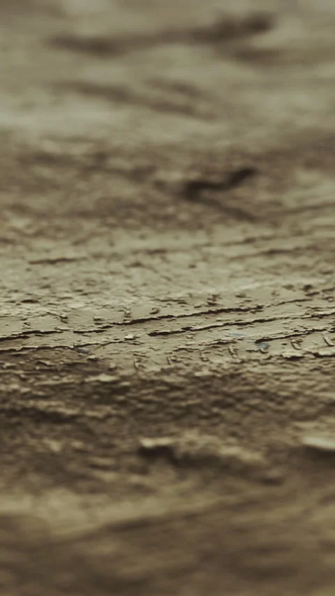 Texture of a rough surface showing marks and patterns in natural light Stock Footage 335236358