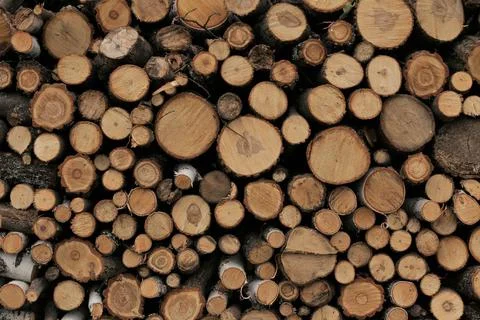 Texture of round logs of pine background Stock Photos