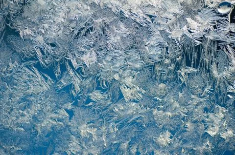 Texture rozen window Stock Photos