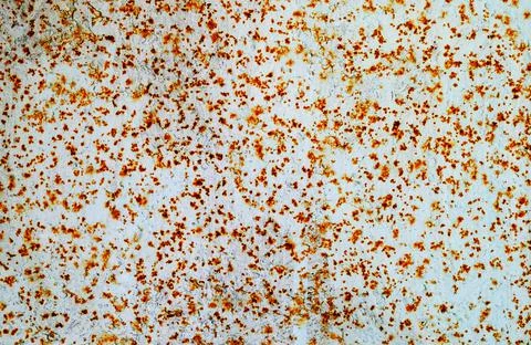 Texture of rust Stock Photos