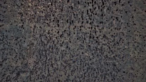 Texture of rusty metal background Stock-Fotos